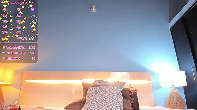 startwerk webcam
