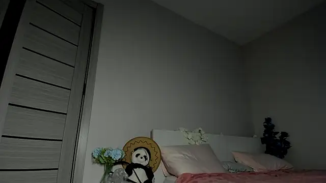 missinfull webcam