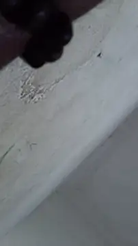 Gegeix webcam
