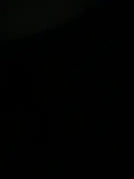 ChipichipiDFoxy webcam