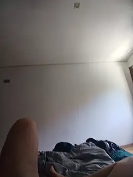 gladieitore webcam
