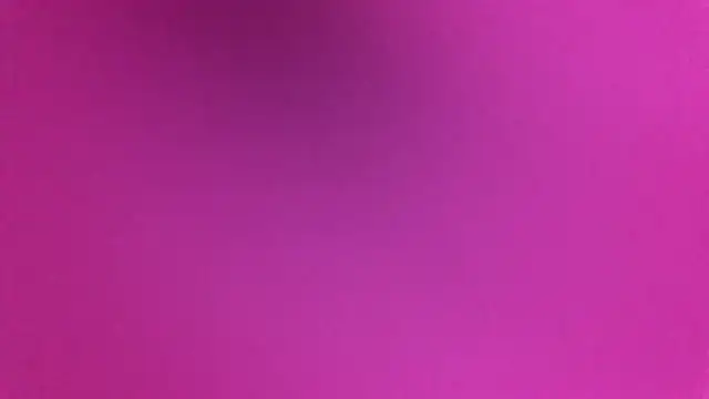 NuttyProfesir webcam