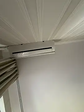 Frosl webcam