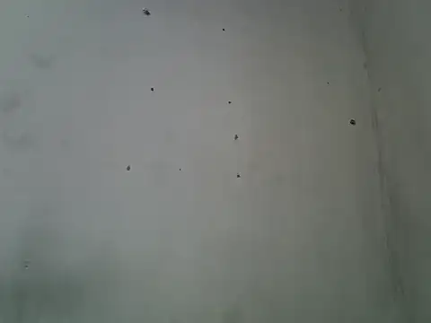 Blossoms672 live cam on StripChat