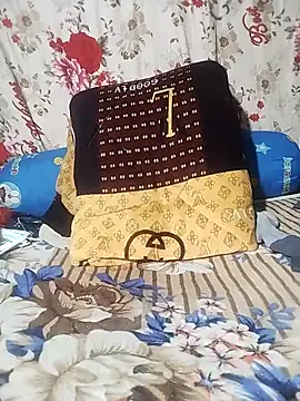 Hoalakt webcam