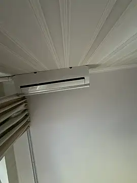 Frosl webcam