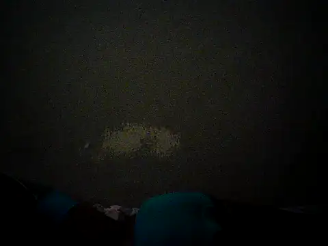 Quicky_slay webcam