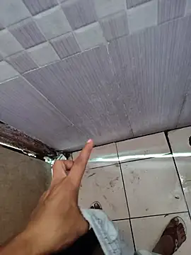 CA-TOPEER webcam