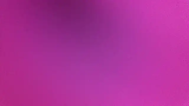 NuttyProfesir webcam