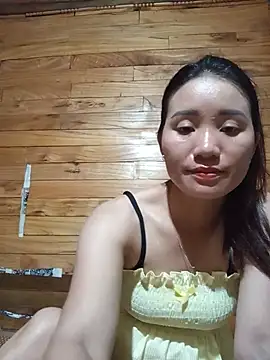 Td3di webcam