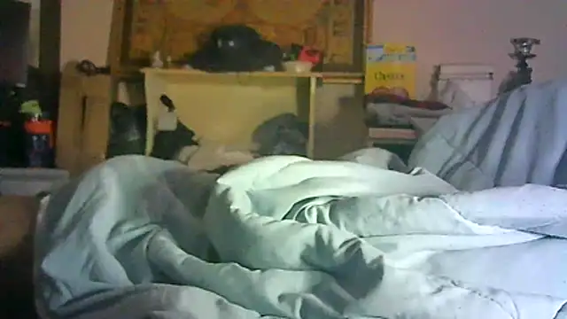 CR3M3_FIR3 webcam