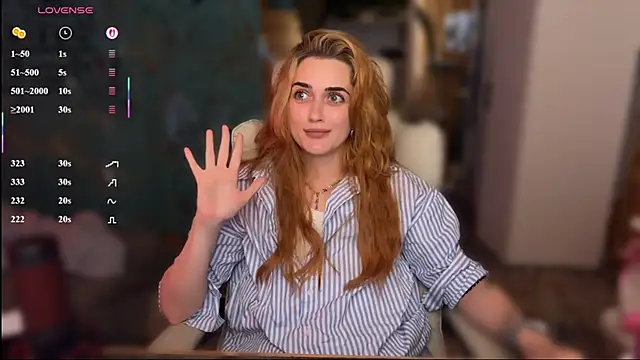 _dota2_ webcam