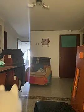 Carola-Ross webcam
