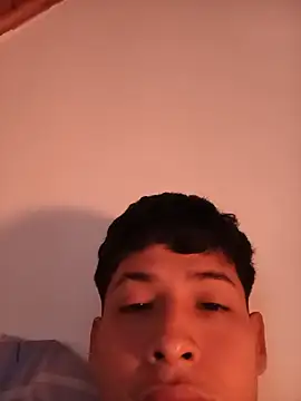 Jl20188 webcam