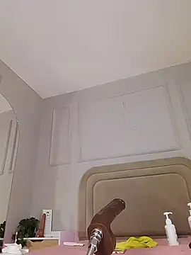 Liastarkk webcam