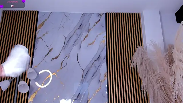 JulienSaint webcam