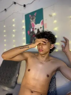 lua_boy webcam