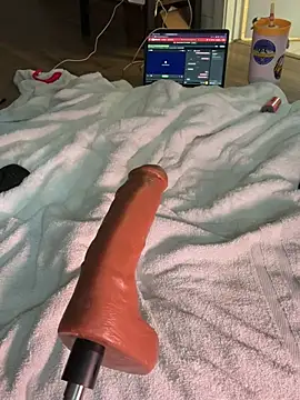 alldogsgotoheaven webcam
