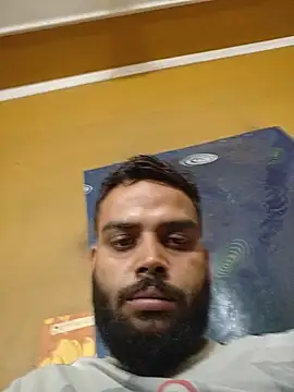 desisen webcam