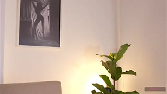 Ambarr_01 webcam