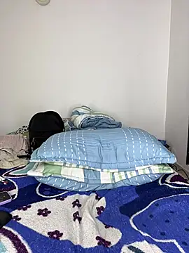 sandylau webcam