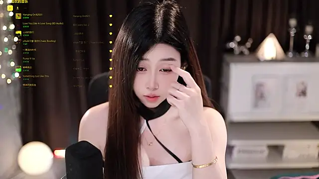 SleepArtist webcam