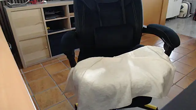 dwtsteffi50 webcam