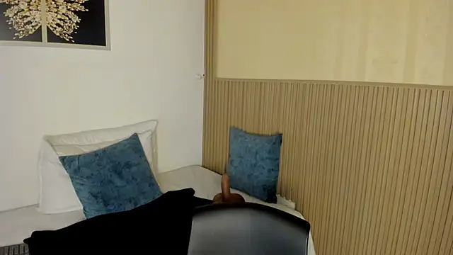 summer_night_ webcam