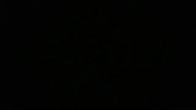 NuttyProfesir webcam