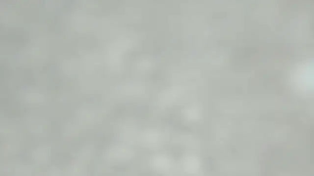 talia_mystic webcam