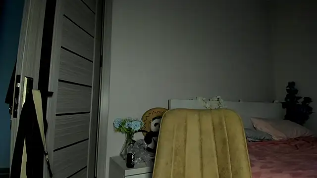 missinfull webcam
