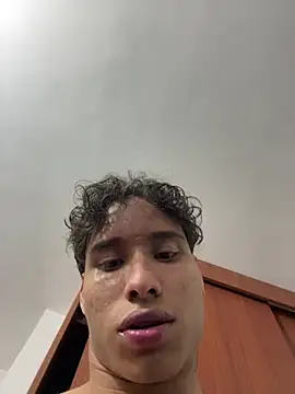 NelModel1 webcam