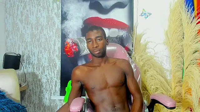 elio_x webcam