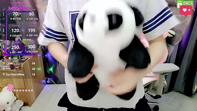 Dully_ana webcam
