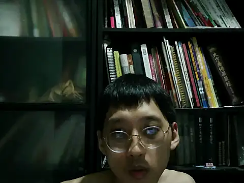 Lv8763 webcam