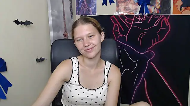 StellaCRL webcam