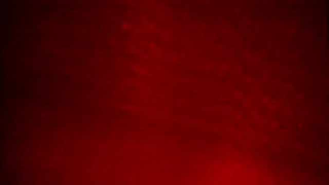 AlessandroFranco webcam