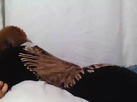Goldy_petite webcam