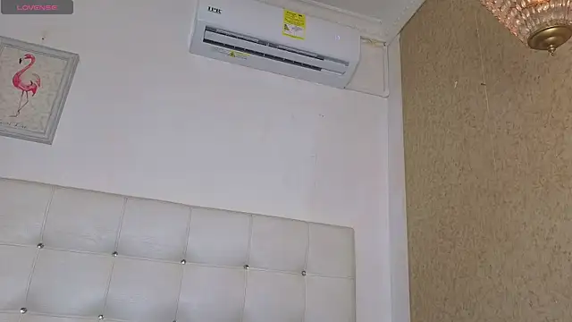 siacavali webcam