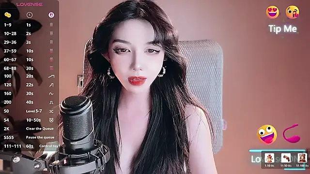 vyizh- webcam