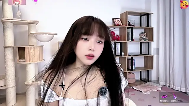 SakuraCat6 webcam