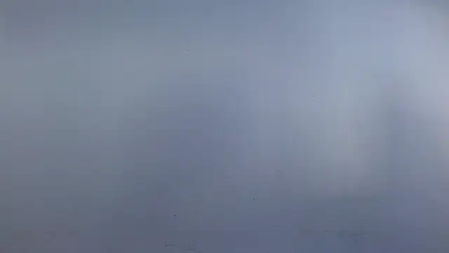 isabel_24_gil webcam