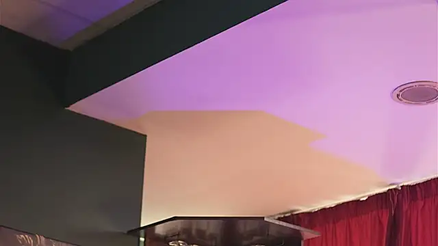 LuxenNoir webcam