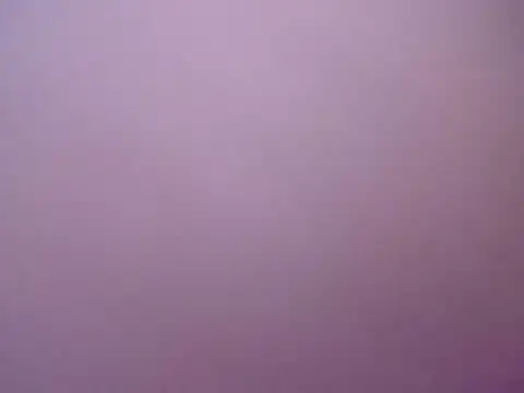negraiza webcam