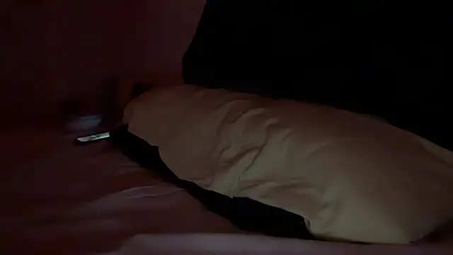 DimmmyT webcam