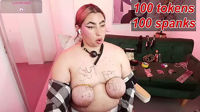 Raven_velmont webcam