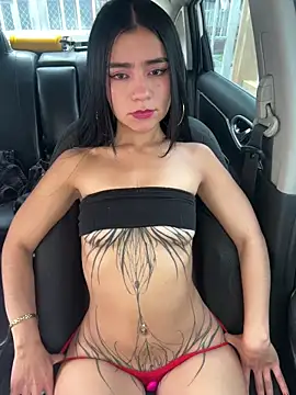 Dakota-fire webcam