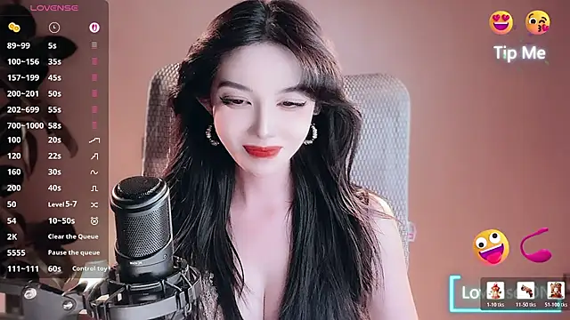 vyizh- webcam