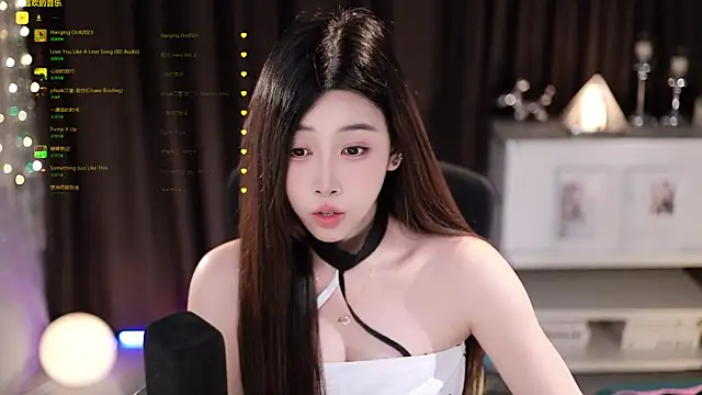 SleepArtist webcam