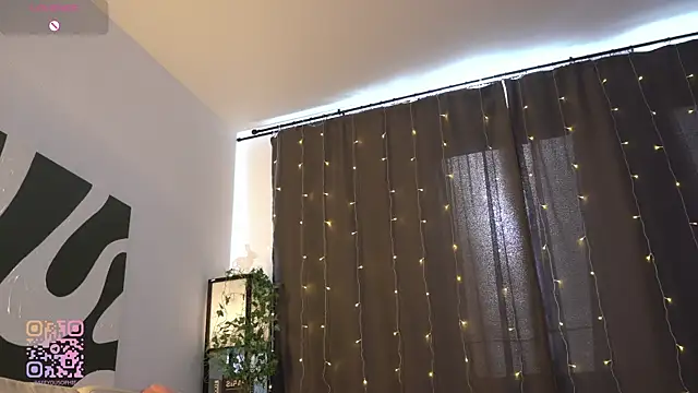 FlairEdgin webcam